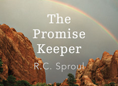 The New Covenant (Part 2)