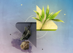 3 Things You Should Know about Luke’s Gospel