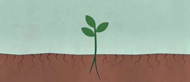 Daily Nourishment for the People of God by Robert Rothwell