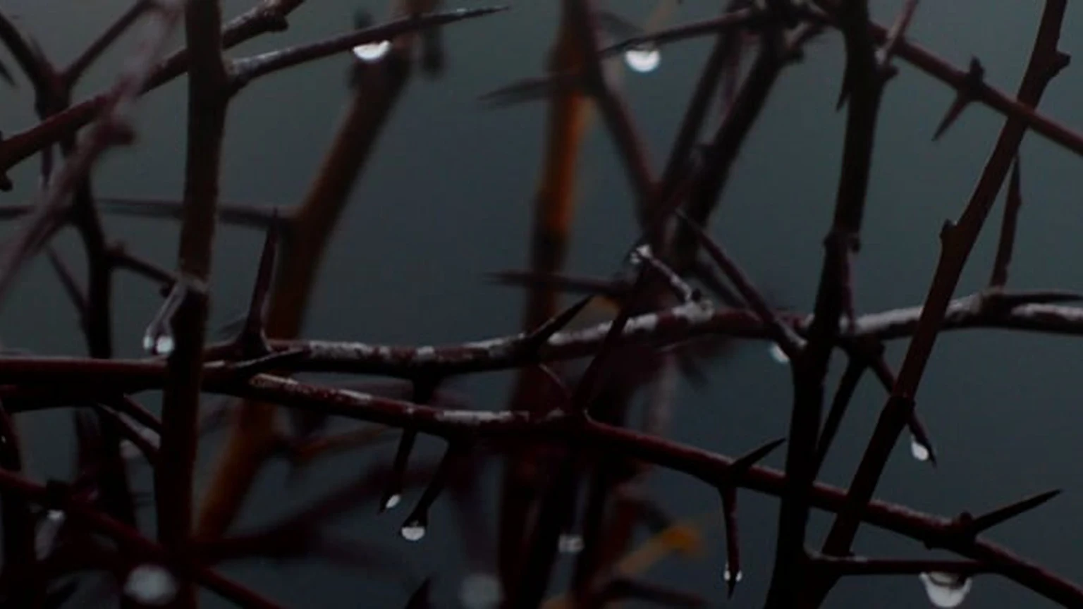 Suffering and the Sovereignty of God