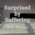 Suffering: A Case Study