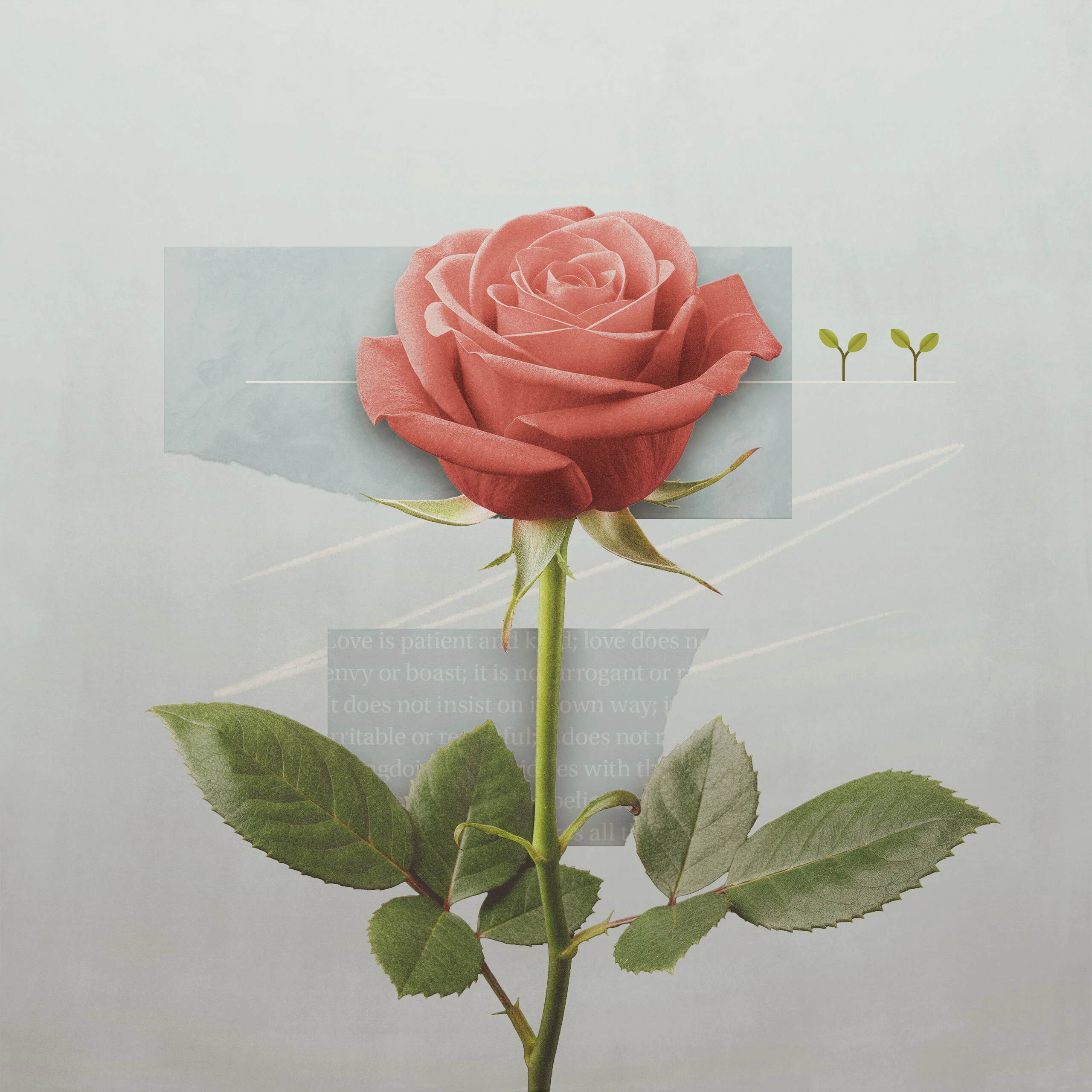 The Ways of a Mother in Challenging Times