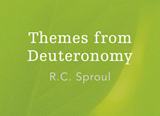 The Book That Grieved Josiah