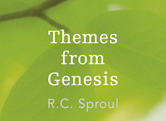 Created Male and Female