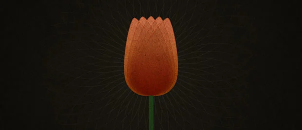 TULIP and Reformed Theology: Total Depravity