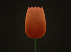 TULIP and Reformed Theology: Unconditional Election