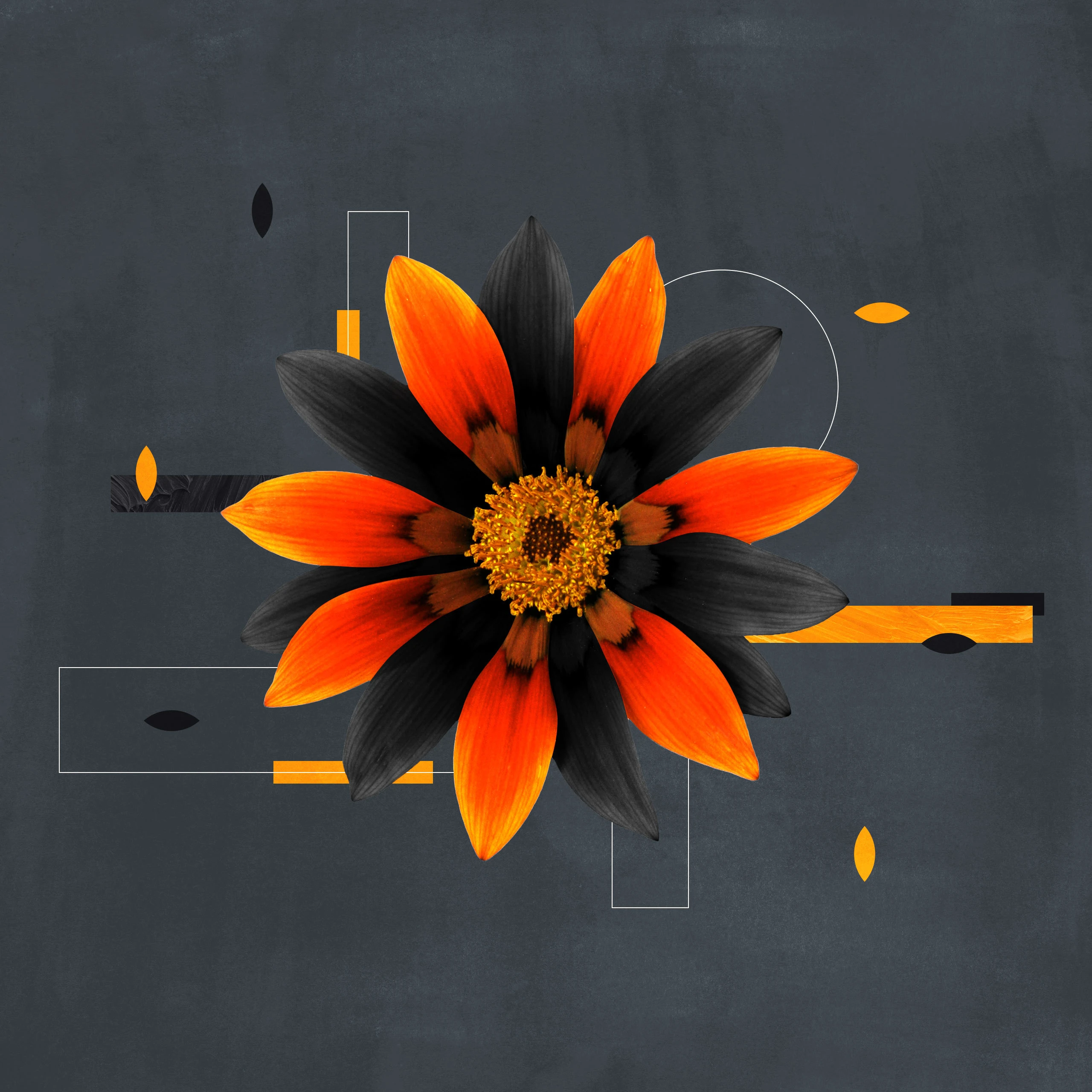 What Is Unconditional Election?