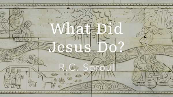 What Did Jesus Do?