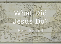 What Did Jesus Do?: Understanding the Work of Christ
