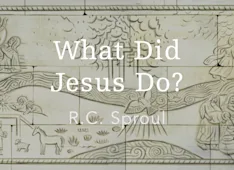 What Did Jesus Do?: Understanding the Work of Christ