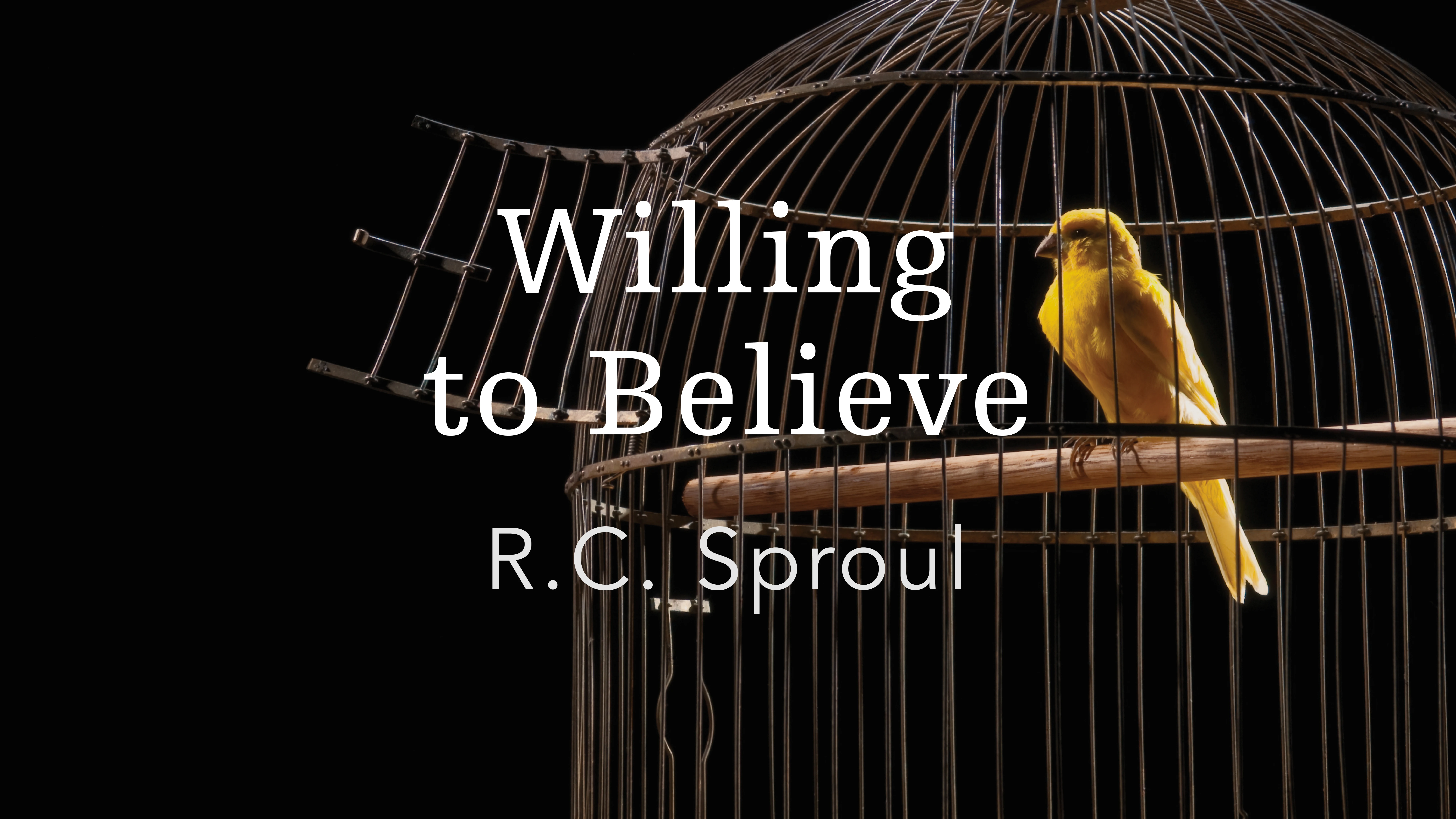 Willing to Believe