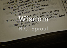 Introduction to Wisdom