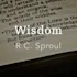 Introduction to Wisdom