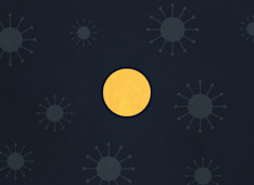 We Are Not Germs: The Case for Human Dignity