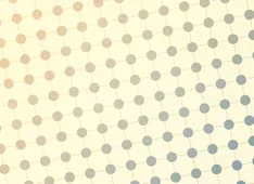 We’re Called to Make Disciples, not Simply Converts