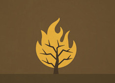 What Is God’s Name?