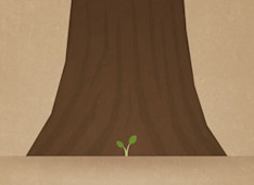 What is the Role of Experience in the Christian Life?