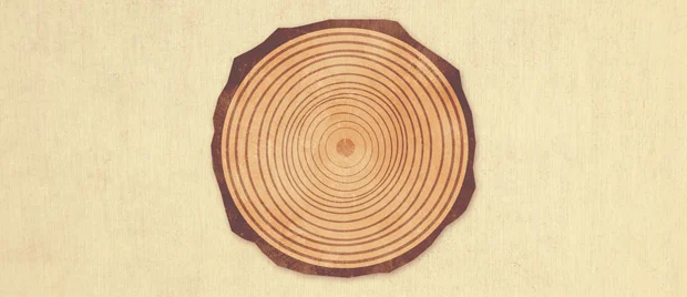 Youth-Driven Culture