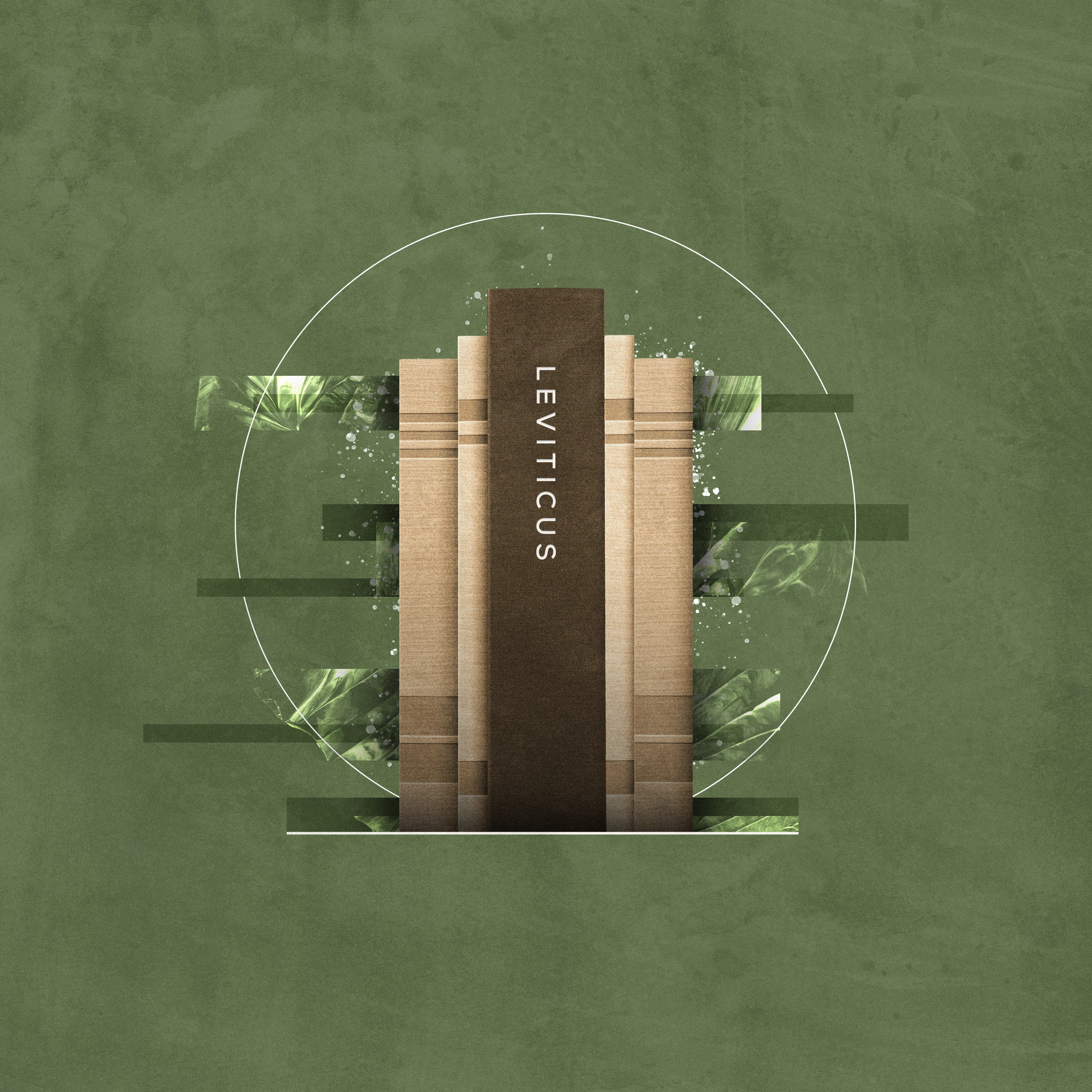 Top 5 Commentaries on the Book of Leviticus