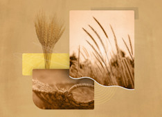 What Does Matthew 28:18–20 Mean?