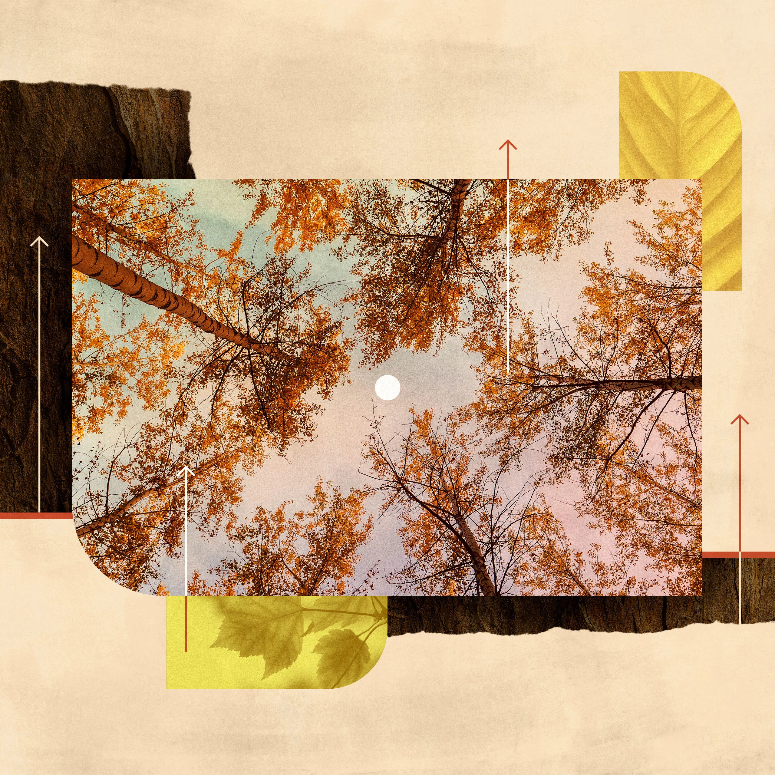 The Christian Virtue of Thanksgiving