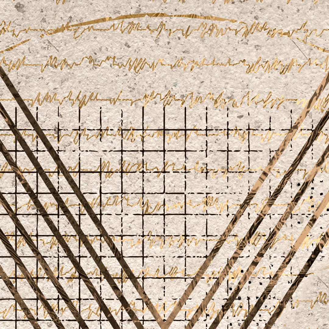 An 11th Century Reformer by Burk Parsons