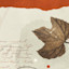List Logo