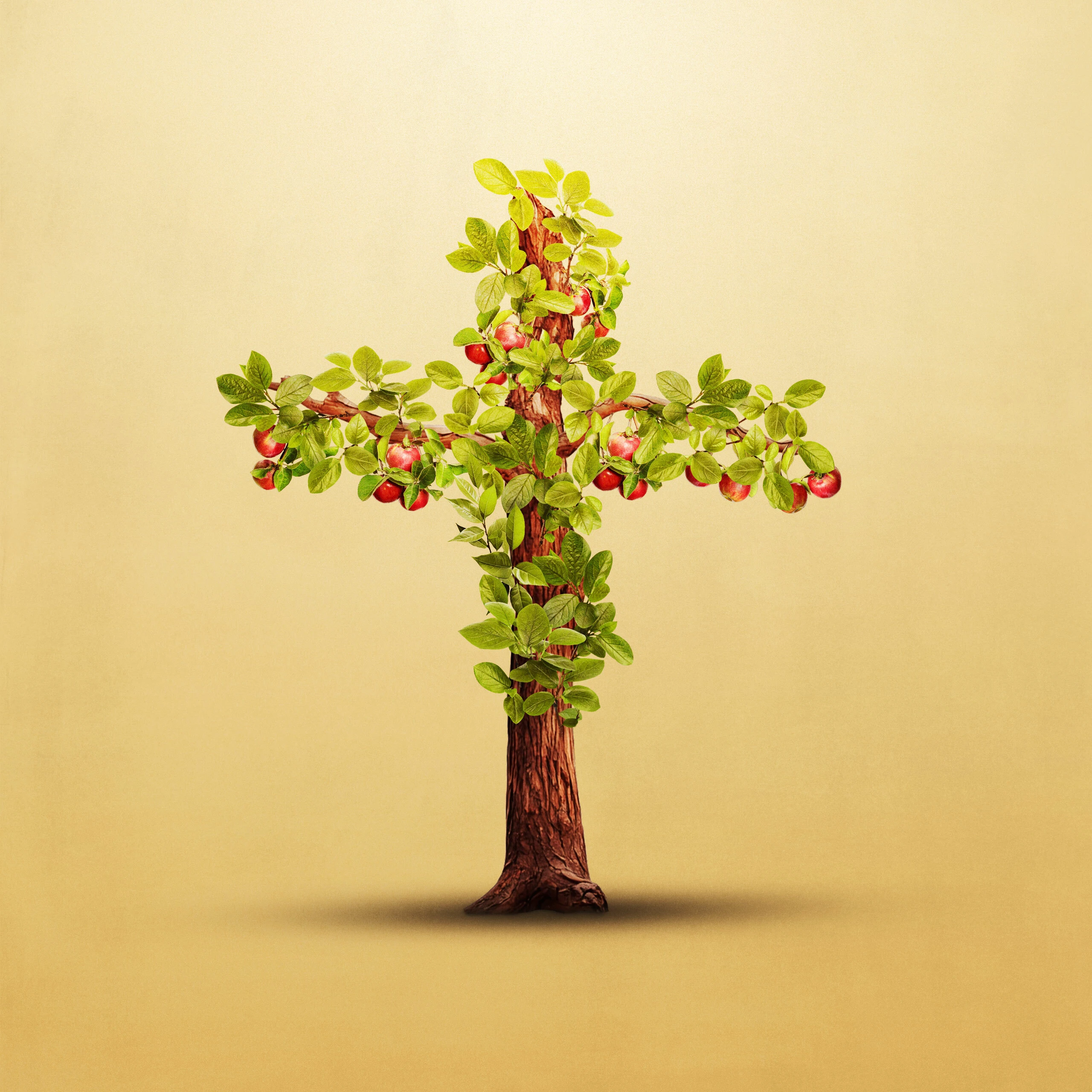 What Is Christian Maturity?