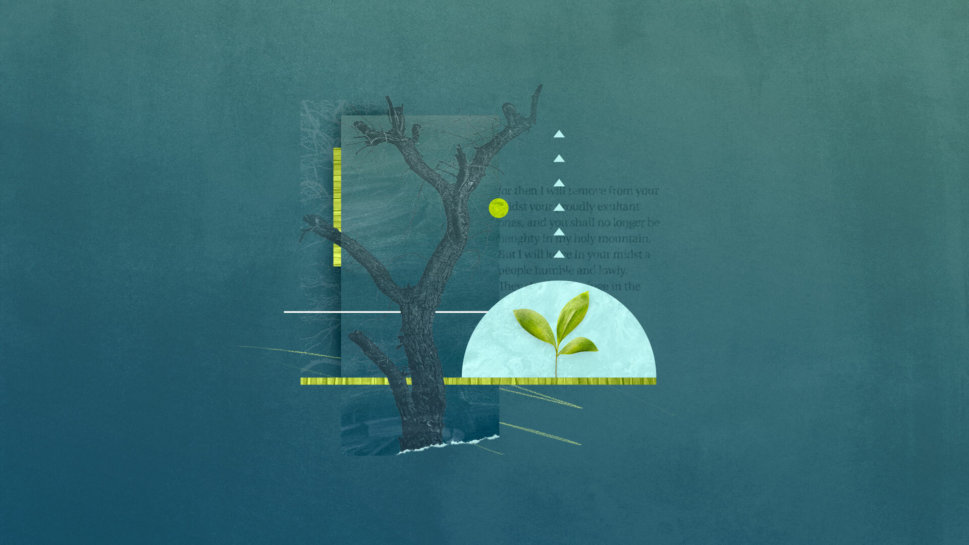 3 Things You Should Know about Zephaniah