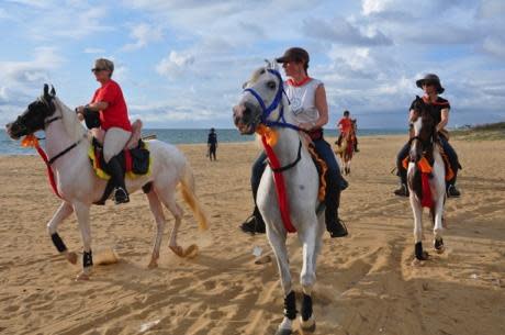 Galloping over the beach