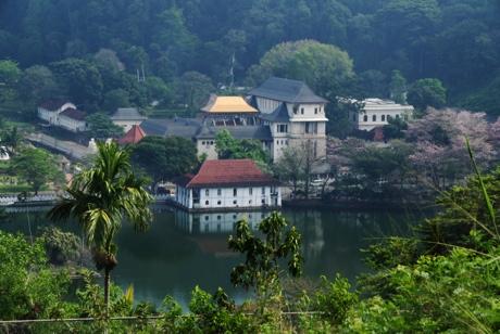 Kandy City Tour