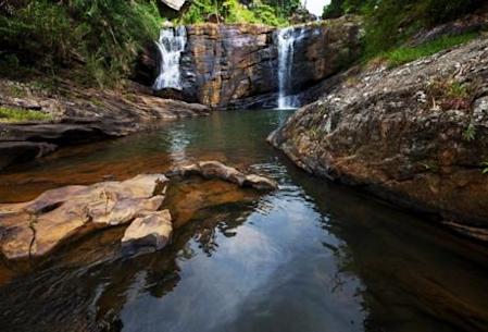 Sinharaja deep jungle trekking