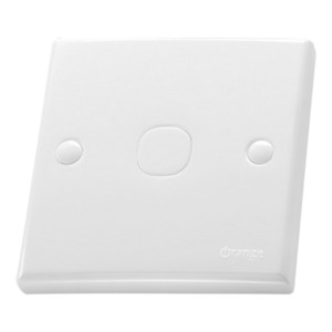 Blank Plate