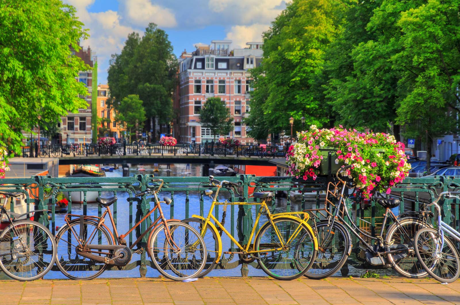 best bike tour of amsterdam