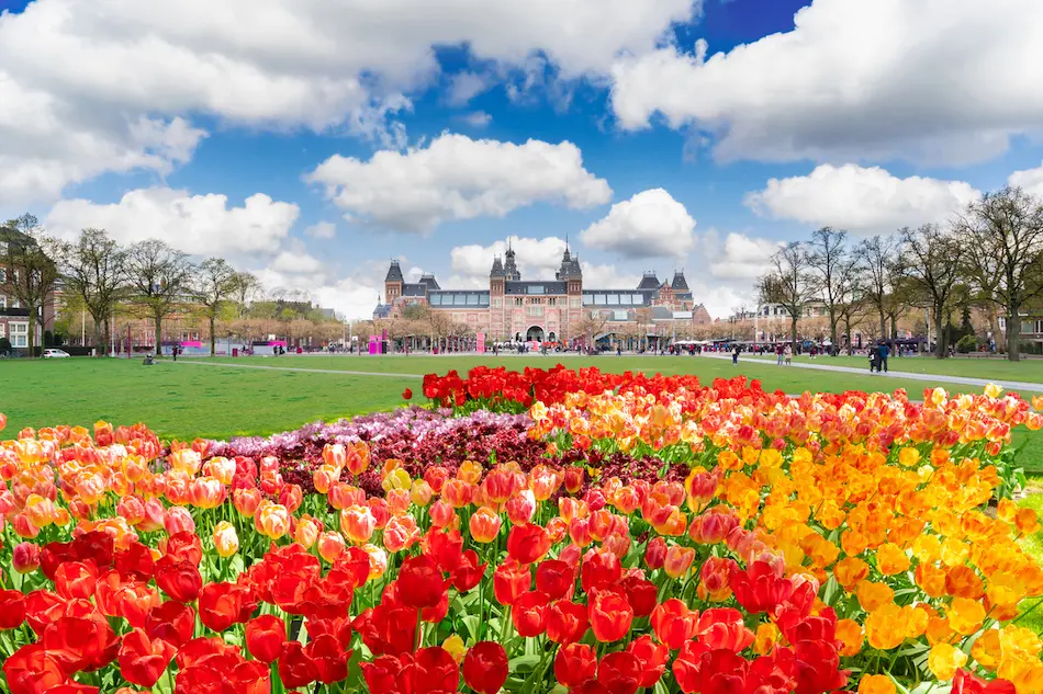 Rijksmuseum Gardens