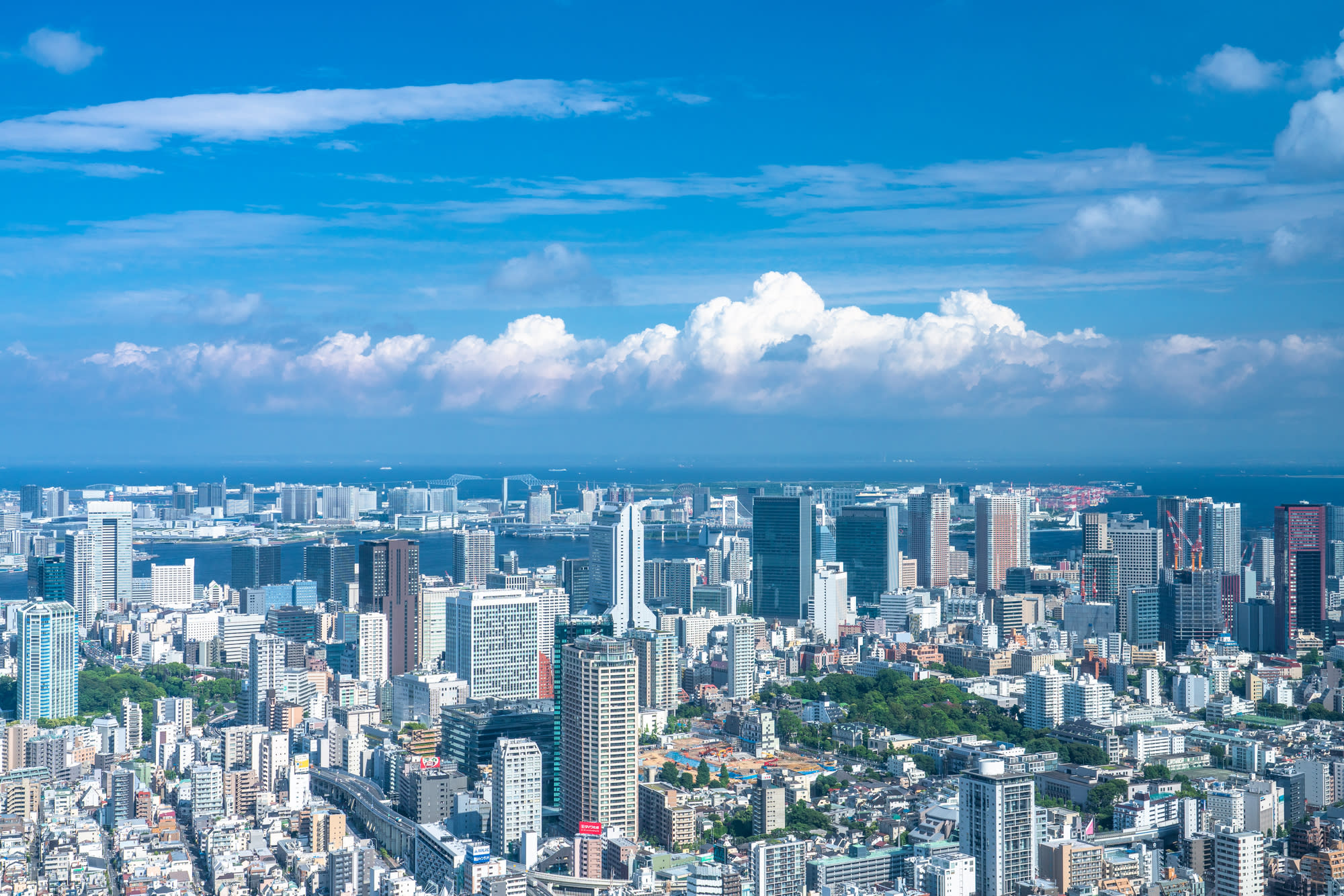Cover Image for 【2025年最新版】不動産業界の新しいビジネスモデルとは？DX・AI活用事例を解説