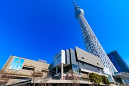 【2026年】今勢いのある東京の賃貸不動産会社ランキング5選