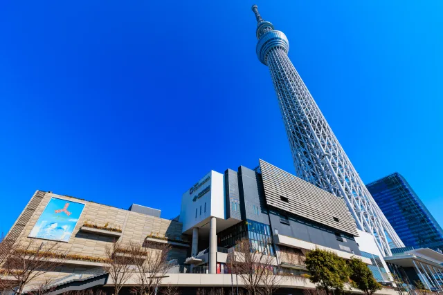 【2024年】今勢いのある東京の賃貸不動産会社ランキング5選