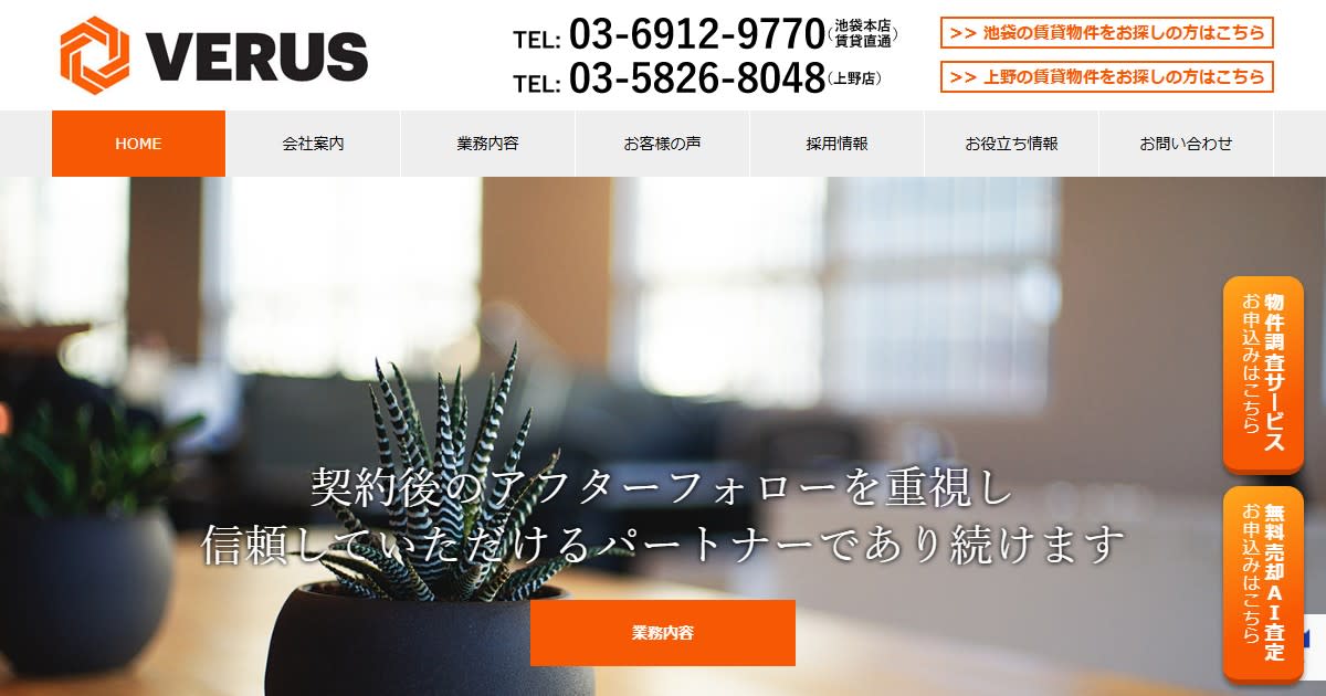 株式会社VERUS