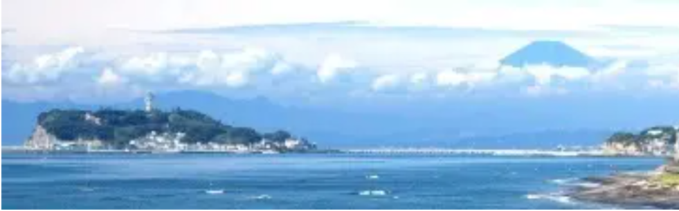 日東商事株式会社(不動産売却:店舗数基準)