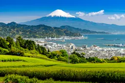 【2025年最新】静岡県の不動産管理会社ランキング5選