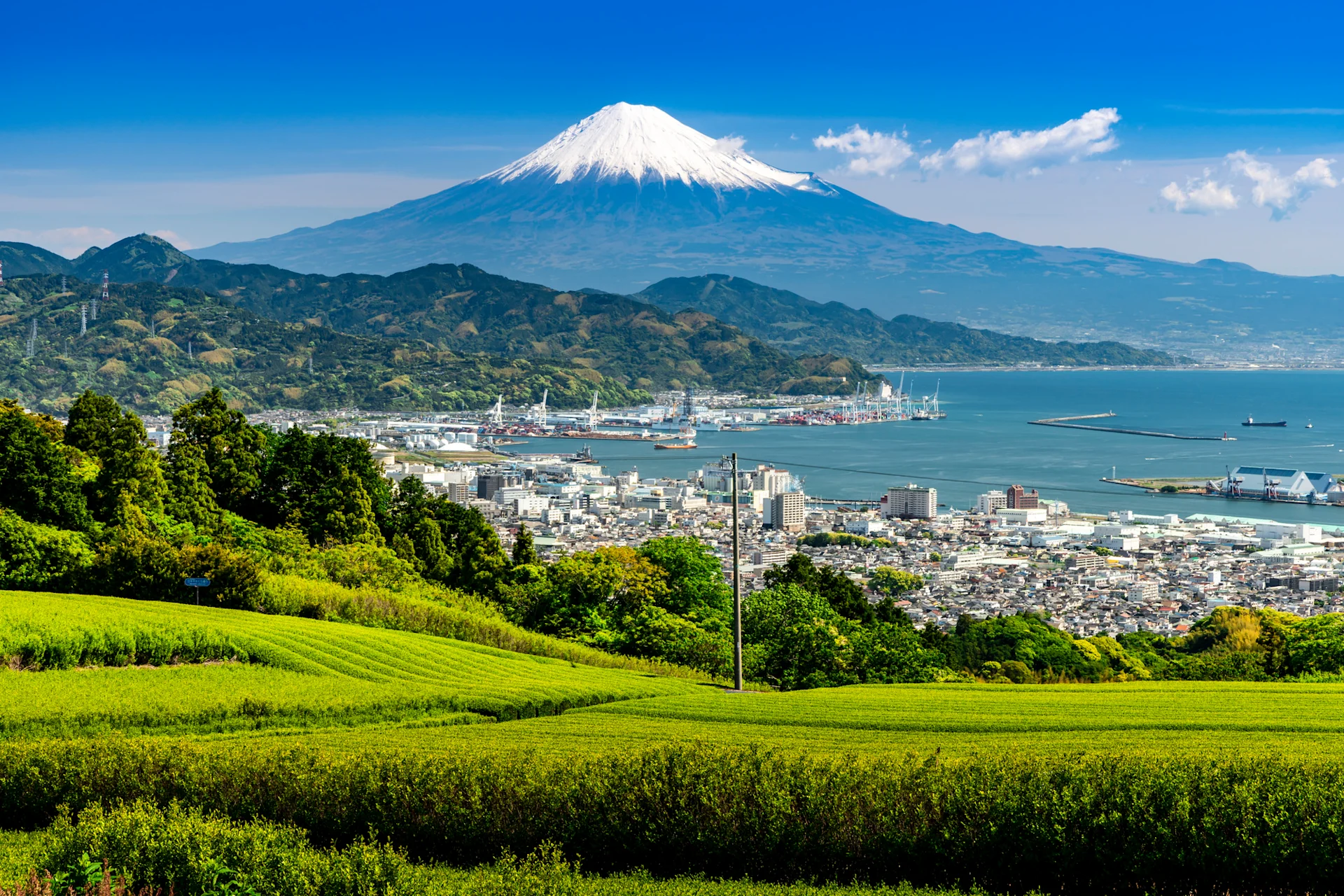 Cover Image for 【2026年最新】今勢いのある静岡県の不動産管理会社ランキング5選 | 株式会社iimon