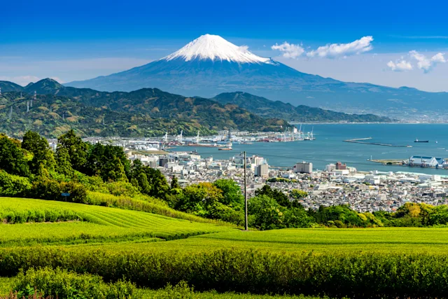 【2025年最新】静岡県の不動産管理会社ランキング5選