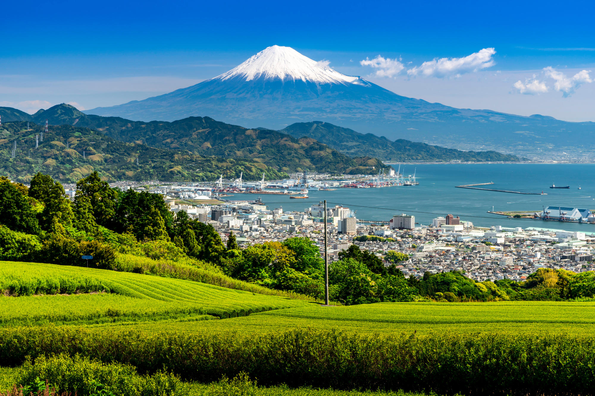 Cover Image for 【2025年最新】静岡県の不動産管理会社ランキング5選