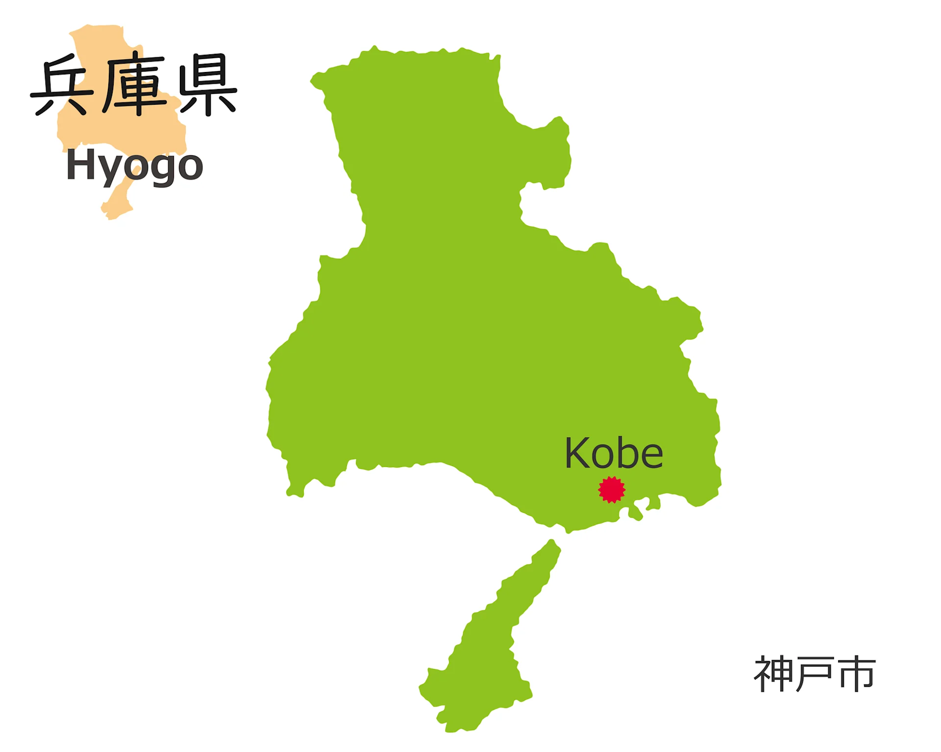 Cover Image for 【2026年11月】今勢いのある神戸の不動産会社ランキング5選 | 株式会社ｉｉｍｏｎ