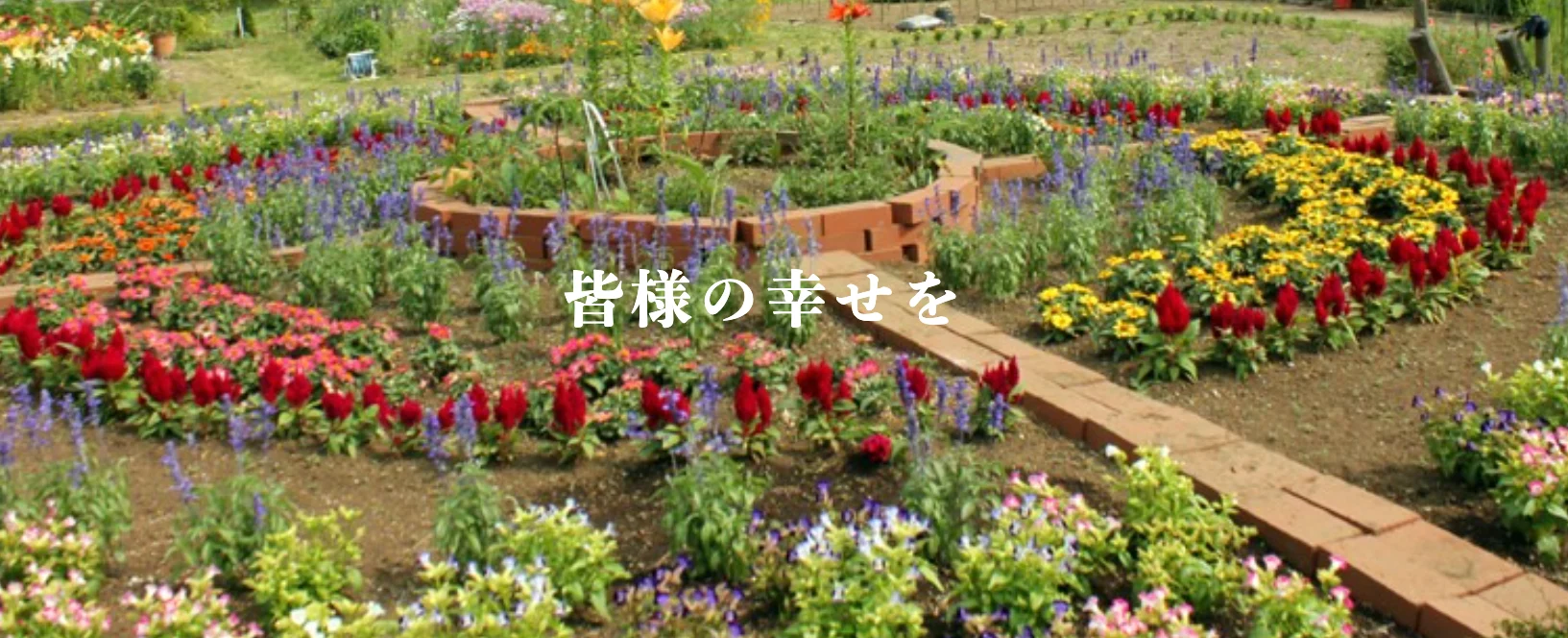 株式会社ネオタウン