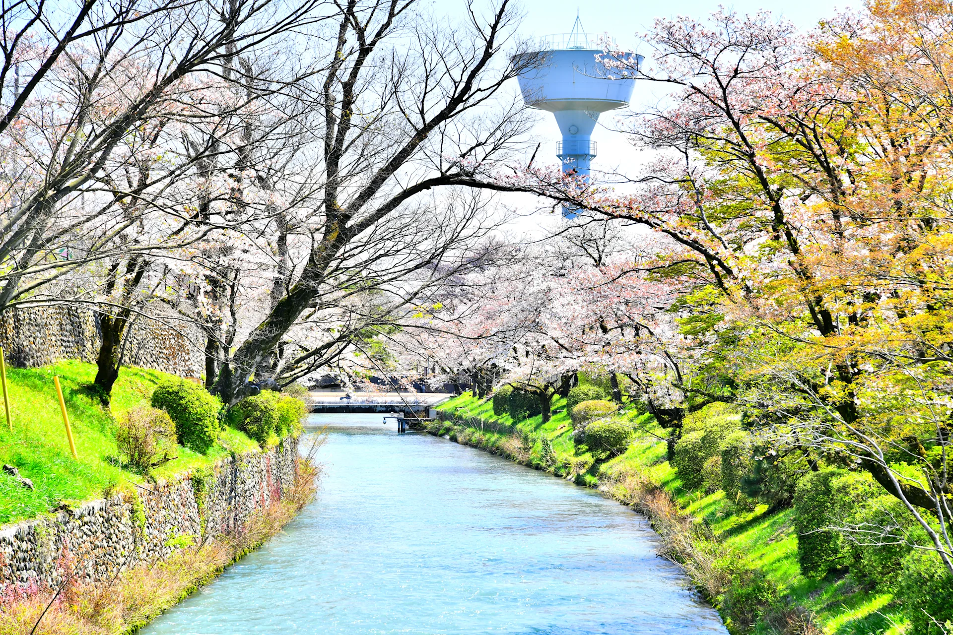 羽村市1