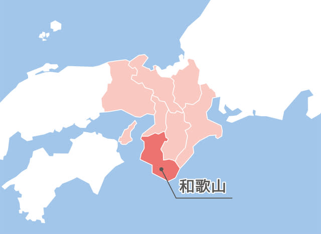 Cover Image for 【2026年05月】今勢いのある和歌山県でおすすめの不動産会社ランキング10選 | 株式会社ｉｉｍｏｎ