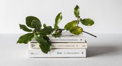 CEO Reading List: 9 Books Tim Ferris Recommended in 2019