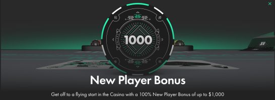 Bet365 NJ New Customer Offer - $1000 New Player Bonus - Casino